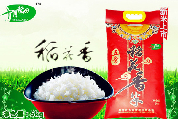 十月稻田加盟费