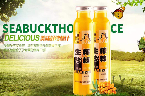 吕梁野山坡加盟