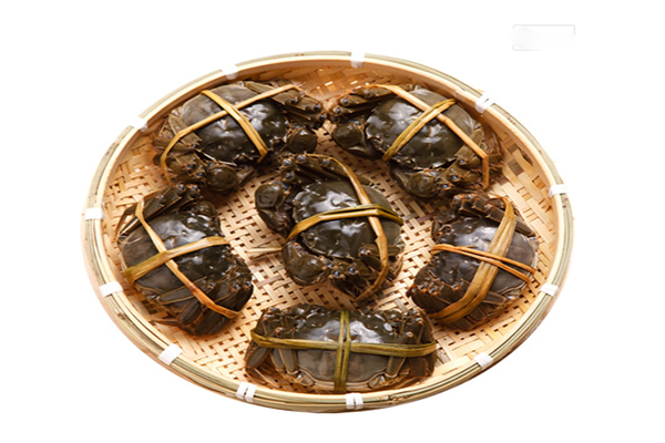 沱湖大闸蟹加盟店