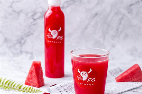 艾特九牛加盟费