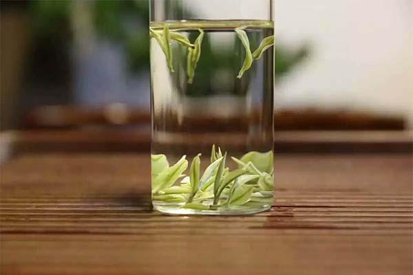 安吉白茶加盟费