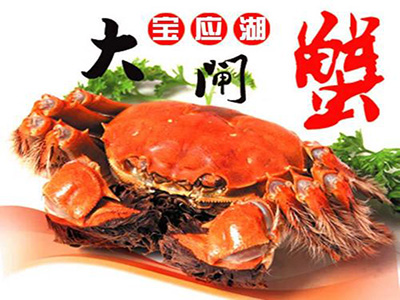 宝应湖大闸蟹加盟费