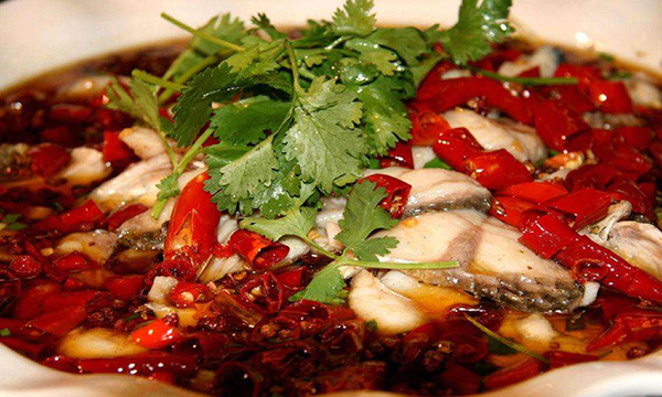 杨府耗儿鱼火锅加盟费