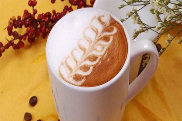 木窄木不奶茶加盟费