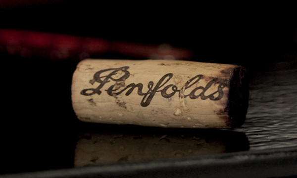 奔富红酒加盟费