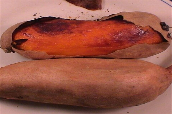 薯一家烤薯店加盟费