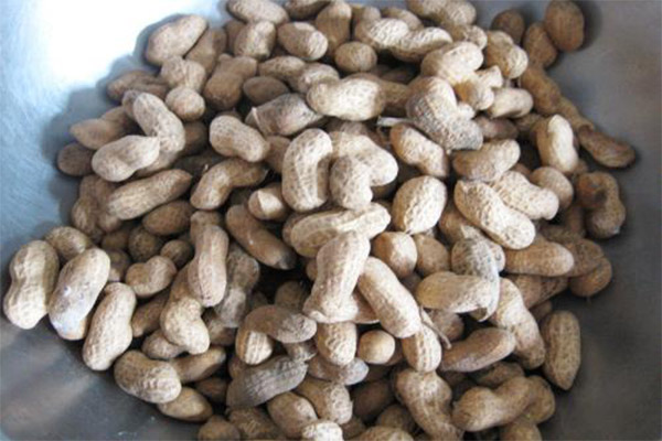 振兴五香花生加盟门店