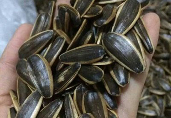 阿良瓜子加盟费