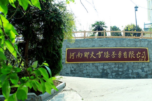 仰天雪绿加盟费