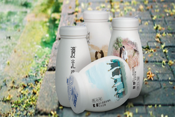 雪原乳业加盟费