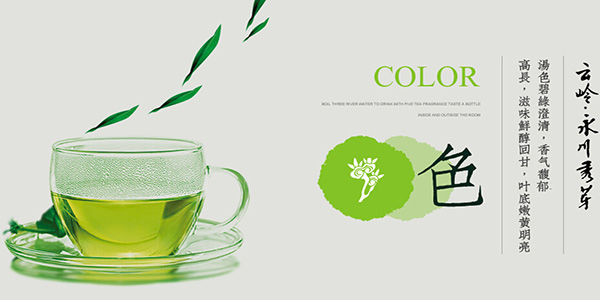 云岭茶业加盟费