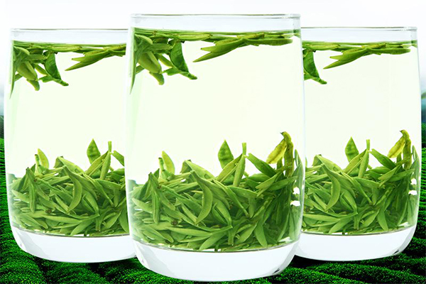 一杯香茶叶加盟费