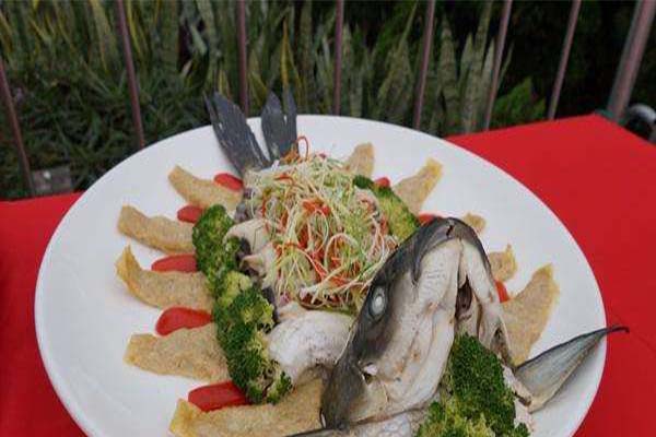 琛道活鱼料理加盟费