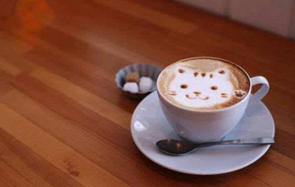 唯舍咖啡加盟费