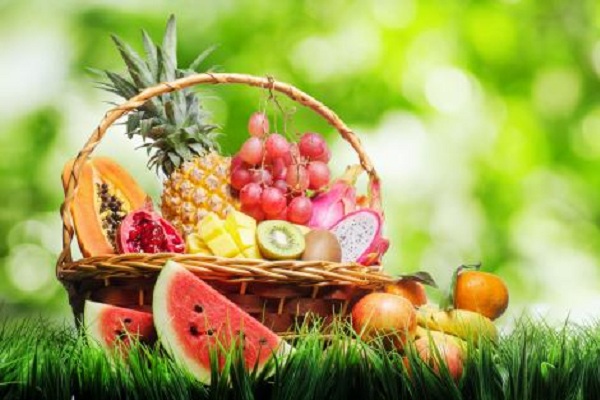 晨鲜水果加盟费