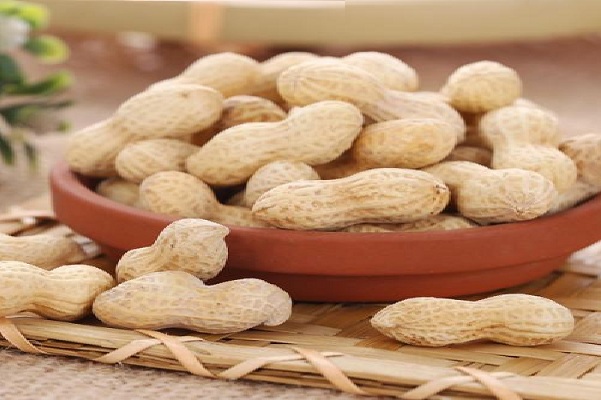 迪尔波比食品加盟费