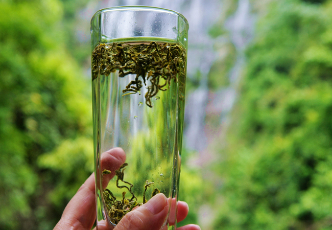 庐山云雾茶加盟费