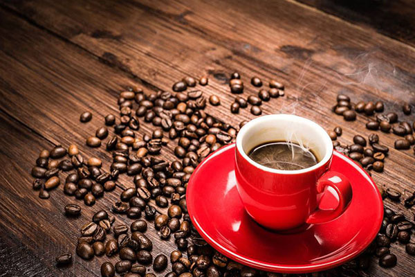 唇树咖啡加盟费