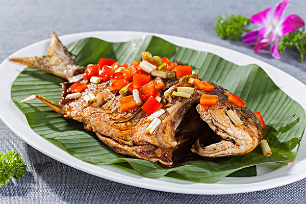 陈记鱼馆加盟费