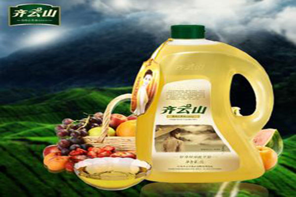 齐云山食品加盟费