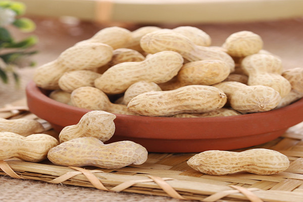 佳膳源休闲食品加盟费