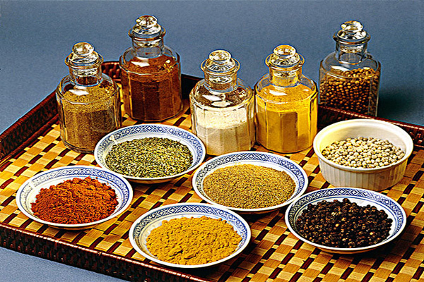 鑫龙海调味品加盟费