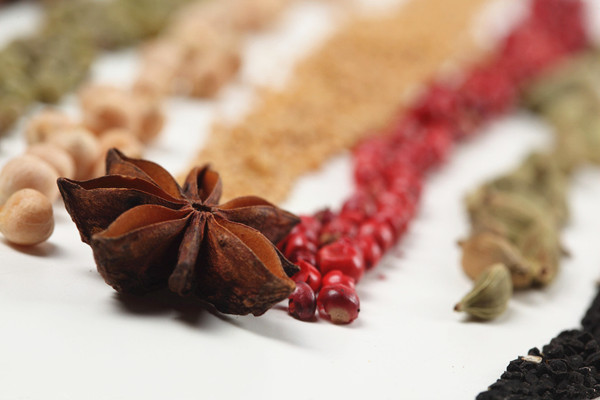 魅垦调味品加盟费