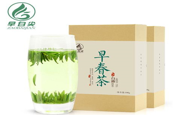 早白尖茶业加盟费