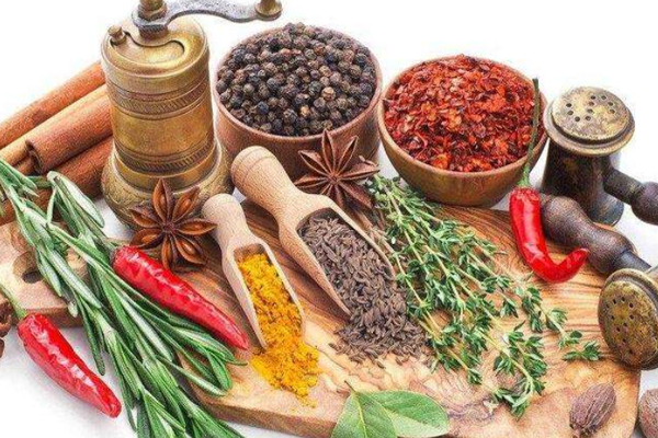 杨公提调味品加盟费