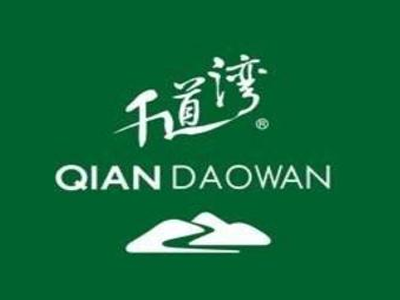 千道湾安吉白茶加盟费