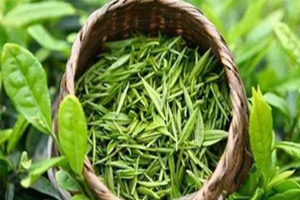 鼎丰茶叶加盟费