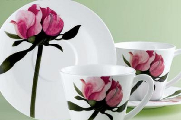 威海杏南瓷器加盟