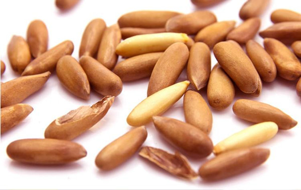 鹰啄休闲食品加盟费