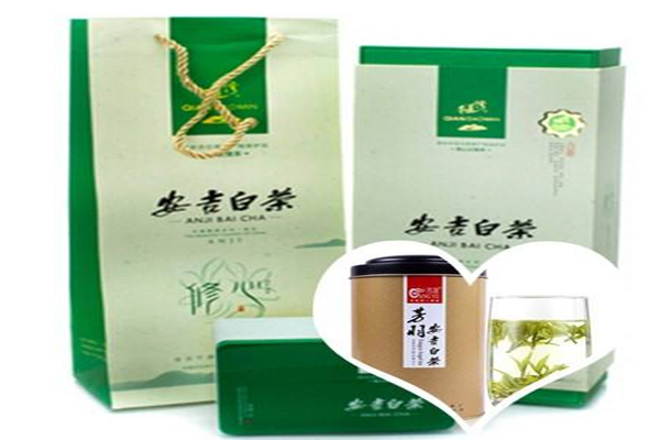 千道湾安吉白茶加盟费