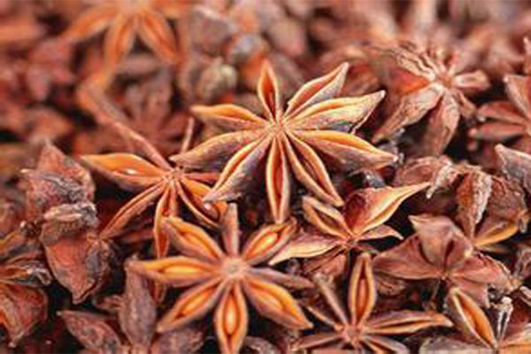 驰为调味品加盟费