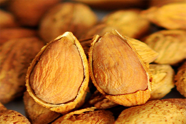 广典休闲食品加盟费