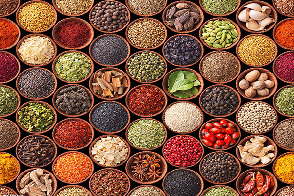 驰为调味品加盟费