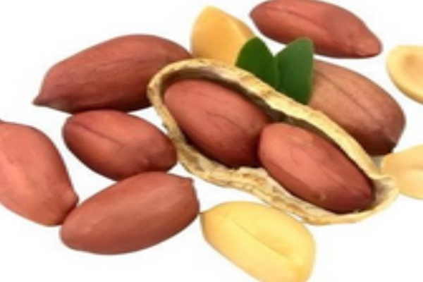 康华远景休闲食品加盟费