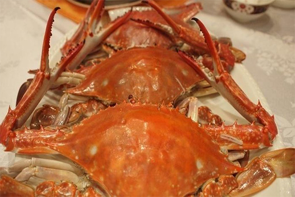 潮益海鲜舫加盟费