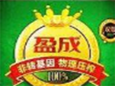 盈成双低菜籽油加盟费