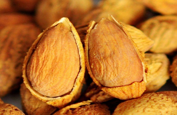 新意隆休闲食品