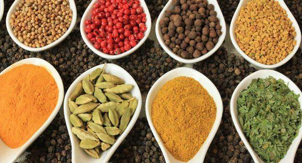 少华山调味品加盟店