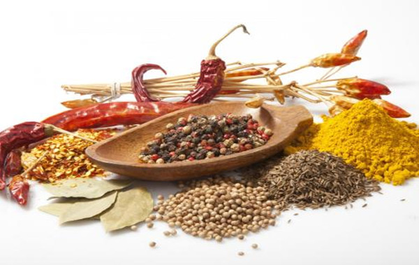 锦鸿调味品加盟费