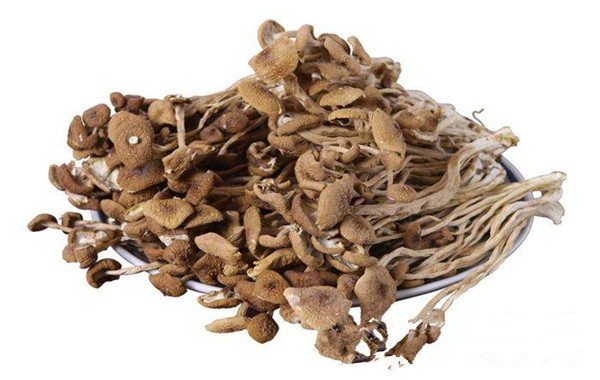 山村元素绿野山珍加盟费