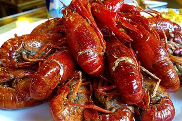 春渝江湖名菜馆加盟店