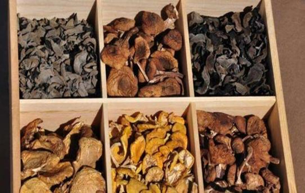 山村元素绿野山珍加盟费