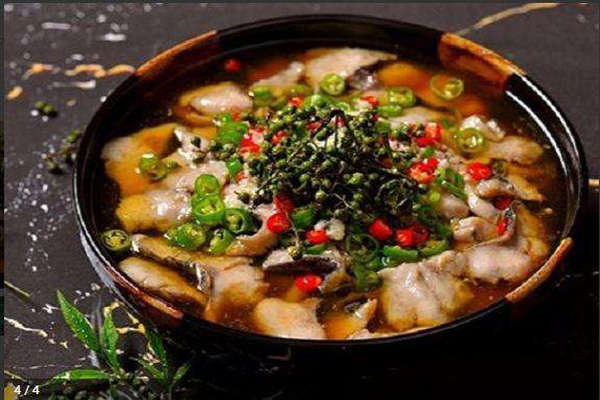 初遇藤椒钵钵鱼加盟费