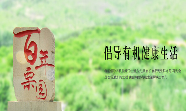 百年栗园加盟费