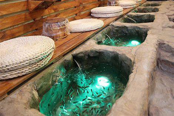 鱼之情香薰鱼疗养生坊