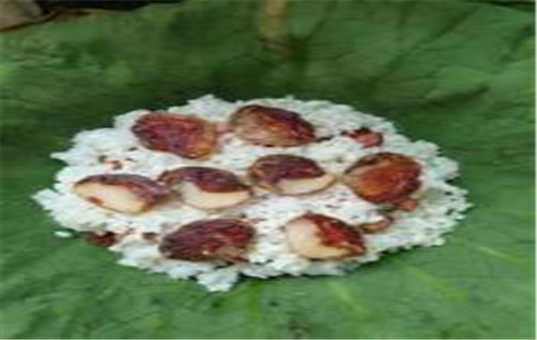 上瘾荷叶煲仔饭加盟费